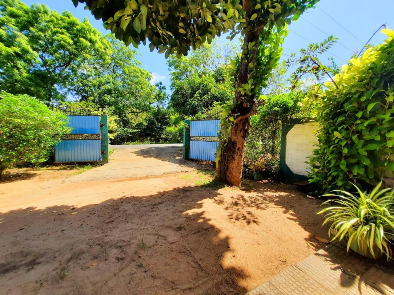 Hostel -In Front Of The National Park- Udawalawe Exterior photo